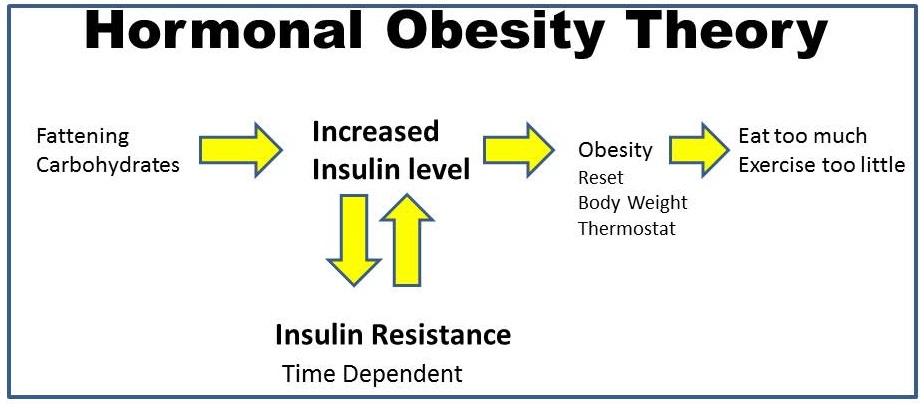 Great Hormonal Imbalances And Weight Gain In Cortisol And Abdominal ...