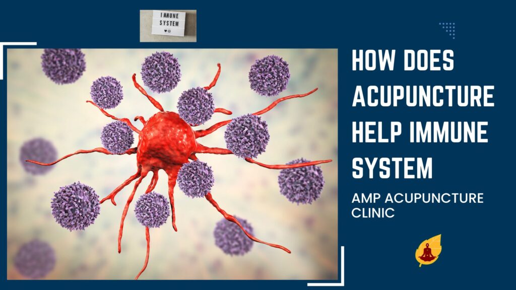 how does acupuncture help immune system